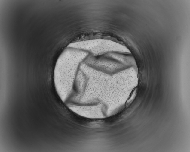 X0000094200505200711161811