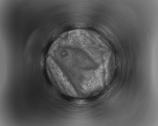 X0000094200507200711161811