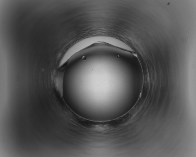 X0000094200508200711161811