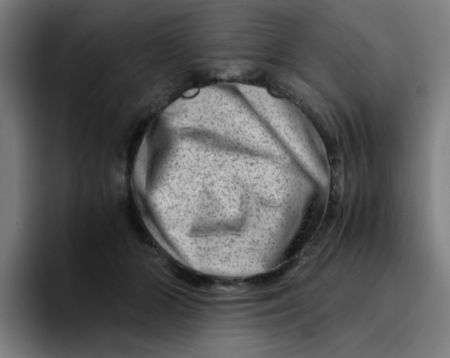 X0000094200510200711161811