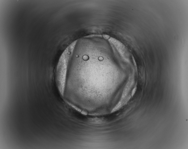 X0000094200511200711161811