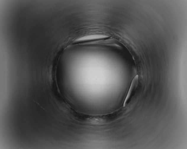 X0000094200512200711161811