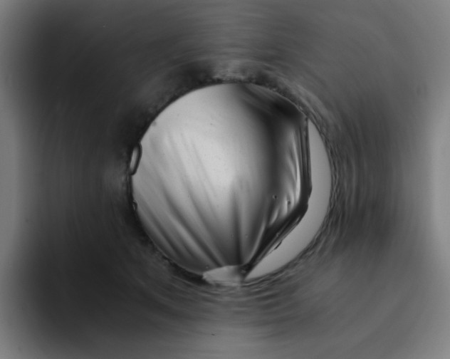 X0000094200513200711161811