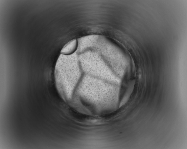 X0000094200514200711161811