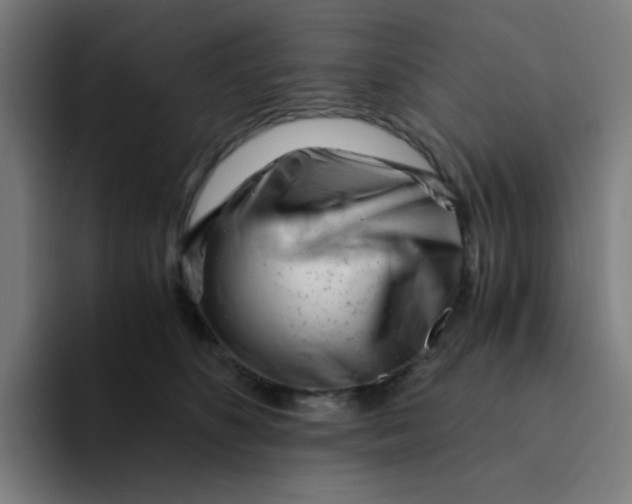 X0000094200516200711161811