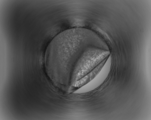 X0000094200517200711161811