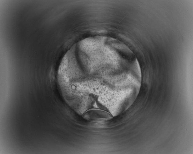 X0000094200518200711161811