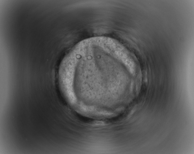 X0000094200519200711161811