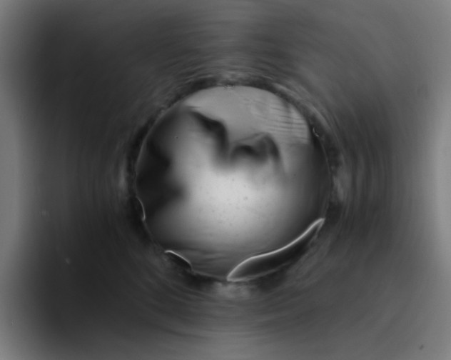 X0000094200520200711161811