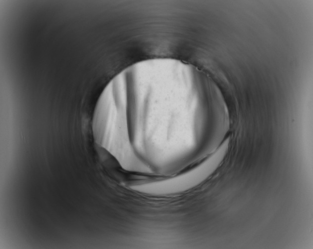 X0000094200521200711161811