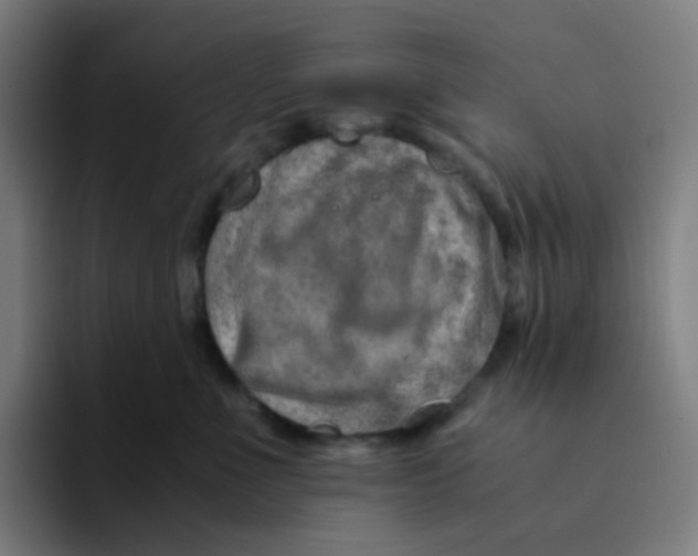 X0000094200523200711161811