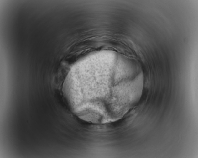 X0000094200524200711161811