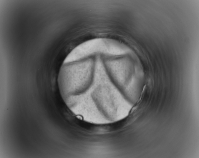 X0000094200525200711161811