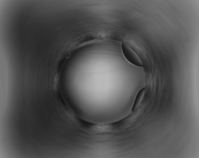 X0000094200526200711161811