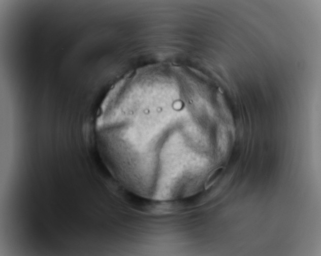 X0000094200527200711161811