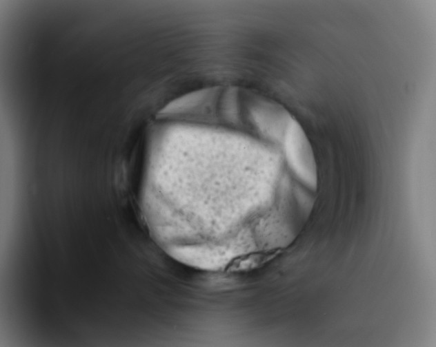 X0000094200528200711161811