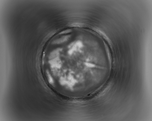 X0000094200529200711161810