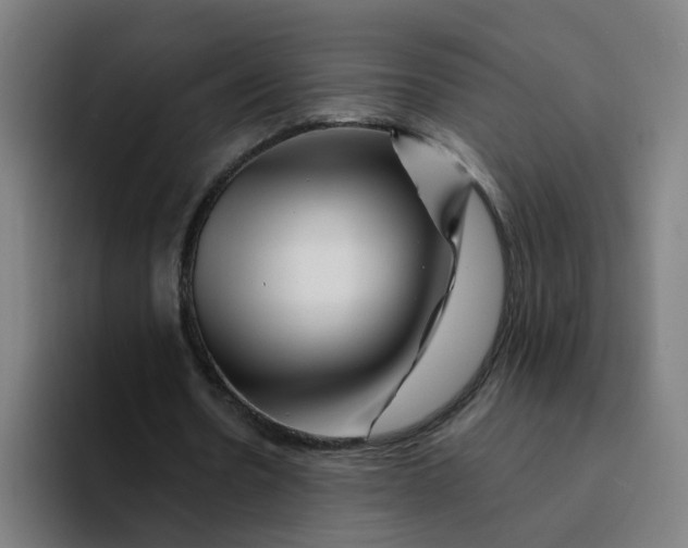 X0000094200530200711161810