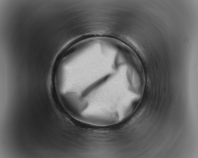 X0000094200532200711161810