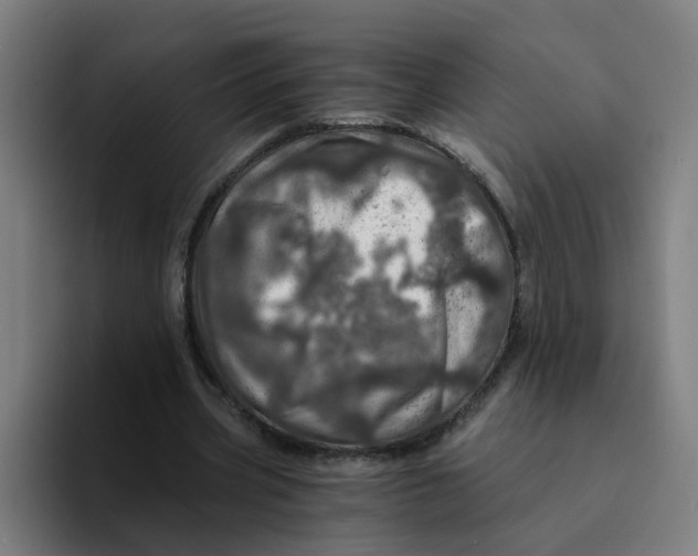 X0000094200533200711161810