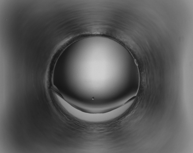 X0000094200536200711161810