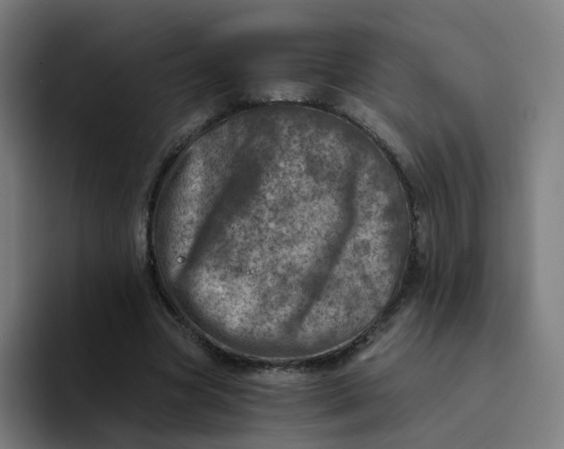 X0000094200537200711161810