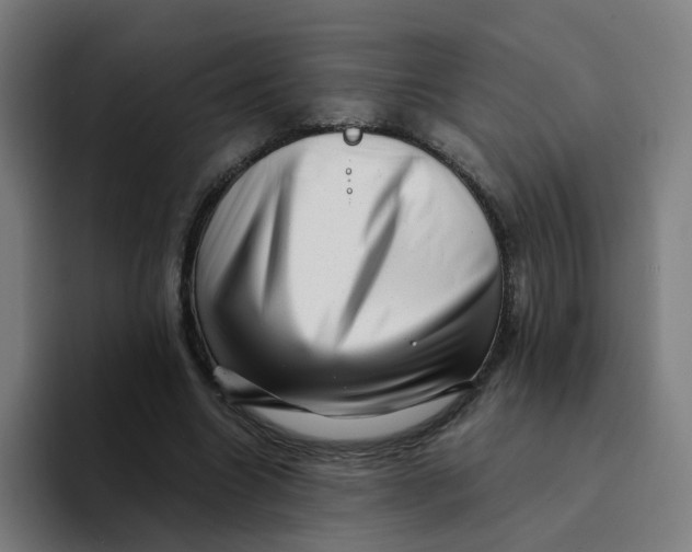 X0000094200538200711161810