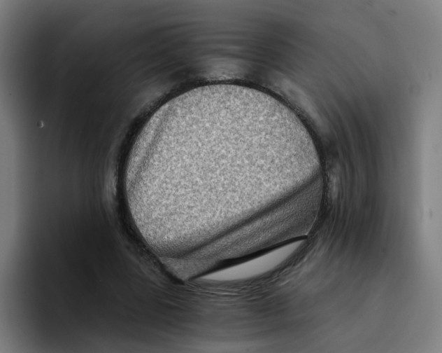 X0000094200539200711161810