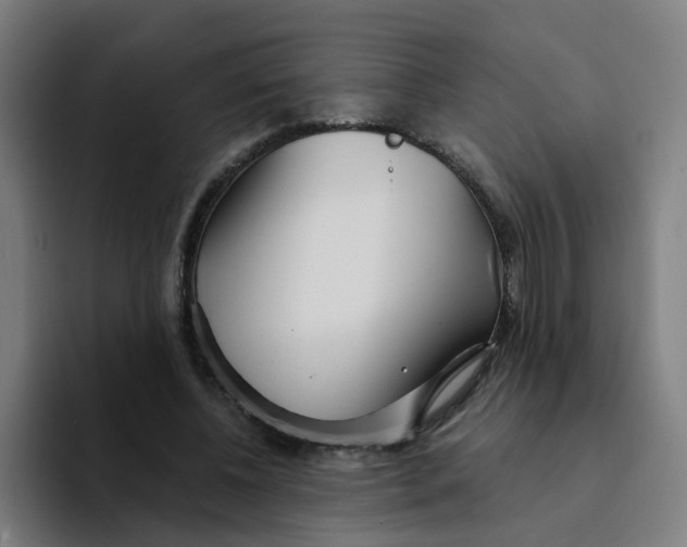 X0000094200540200711161810