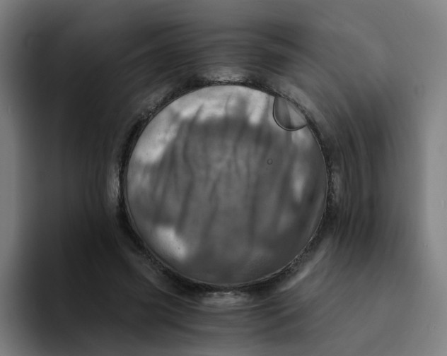 X0000094200541200711161810