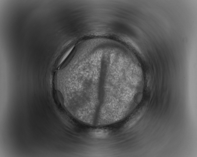 X0000094200542200711161810