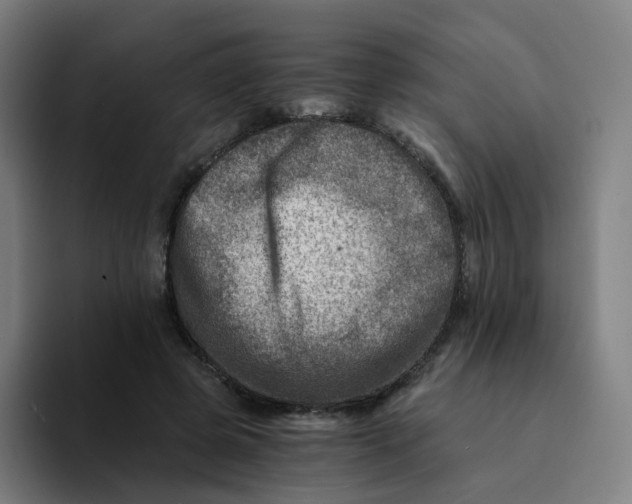 X0000094200545200711161810