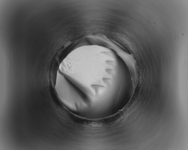 X0000094200546200711161810