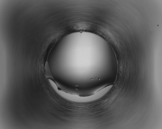 X0000094200547200711161810