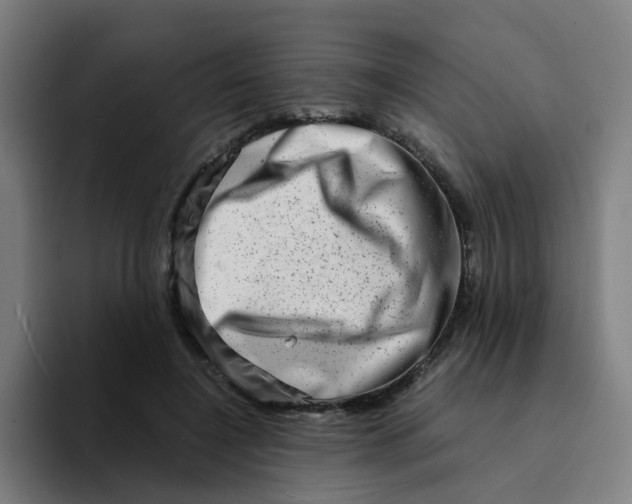 X0000094200548200711161810