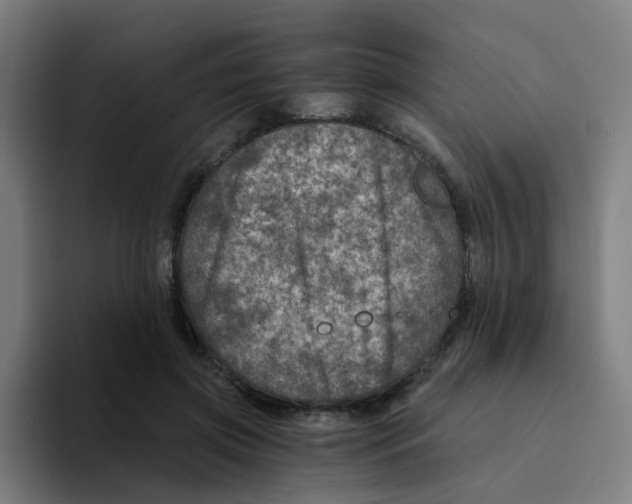 X0000094200549200711161810