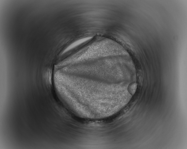 X0000094200550200711161810