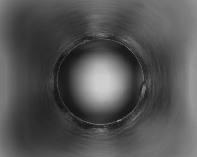 X0000094200552200711161810