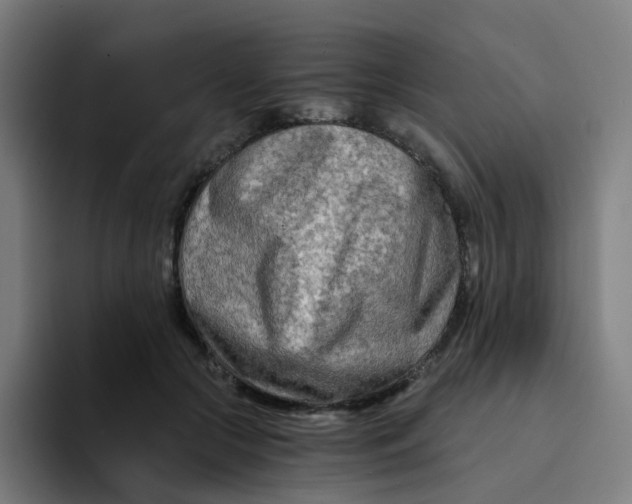 X0000094200553200711161810