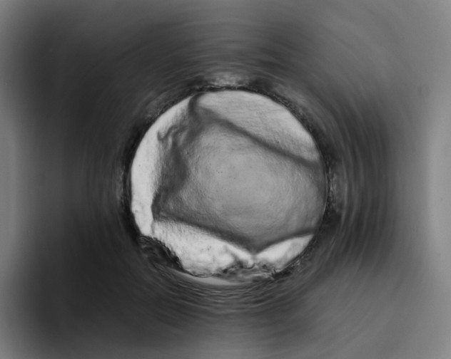 X0000094200554200711161810