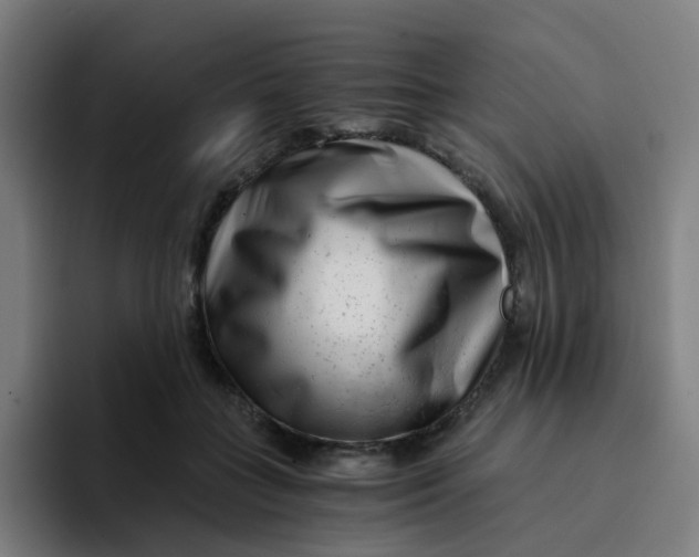 X0000094200555200711161810