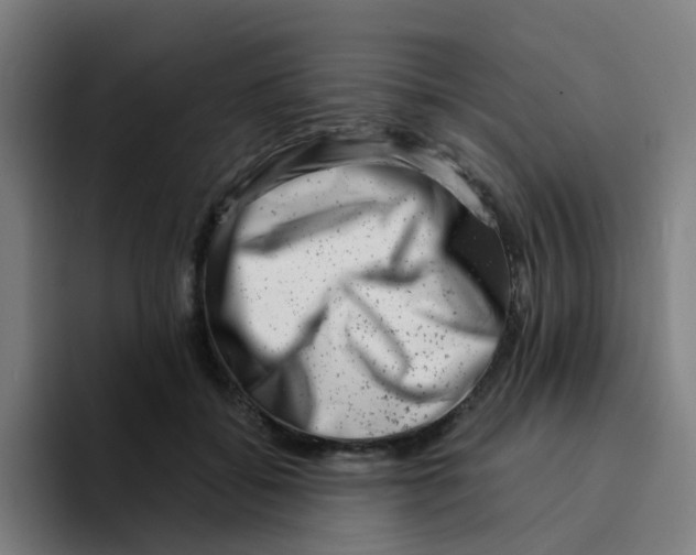 X0000094200556200711161810