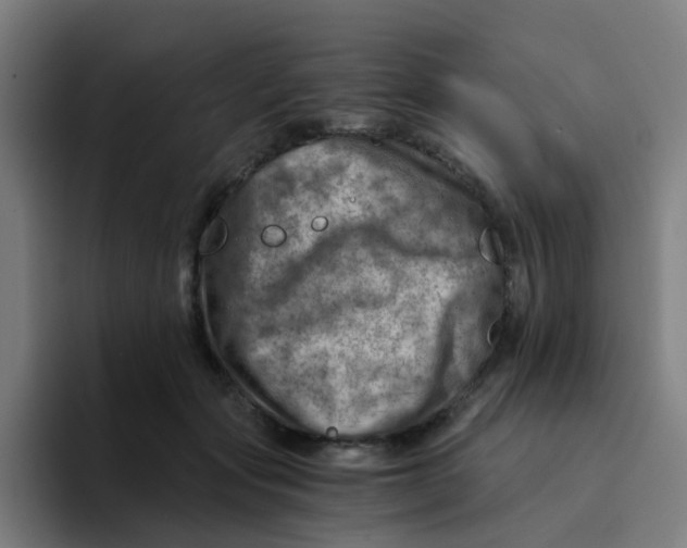 X0000094200557200711161810