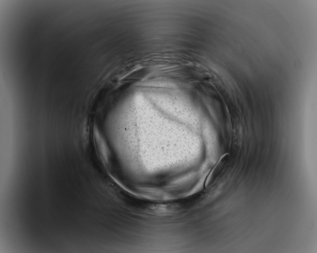 X0000094200558200711161810