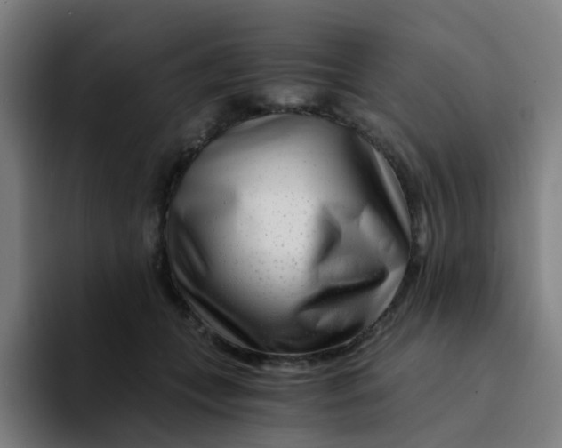 X0000094200559200711161810