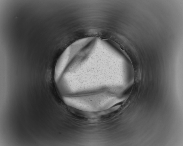 X0000094200560200711161810