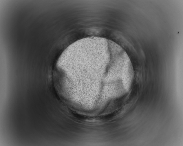 X0000094200561200711161810