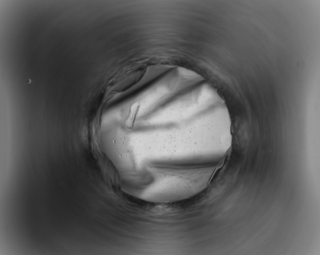 X0000094200562200711161810