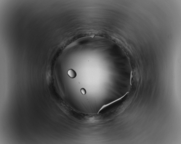 X0000094200564200711161810