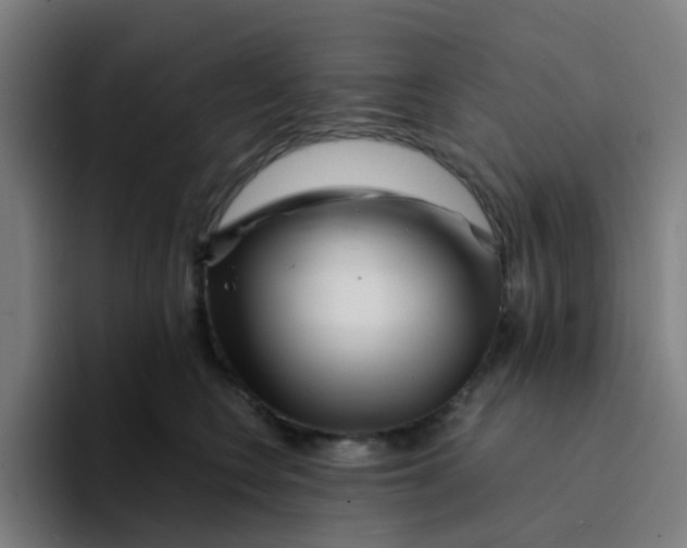 X0000094200566200711161810